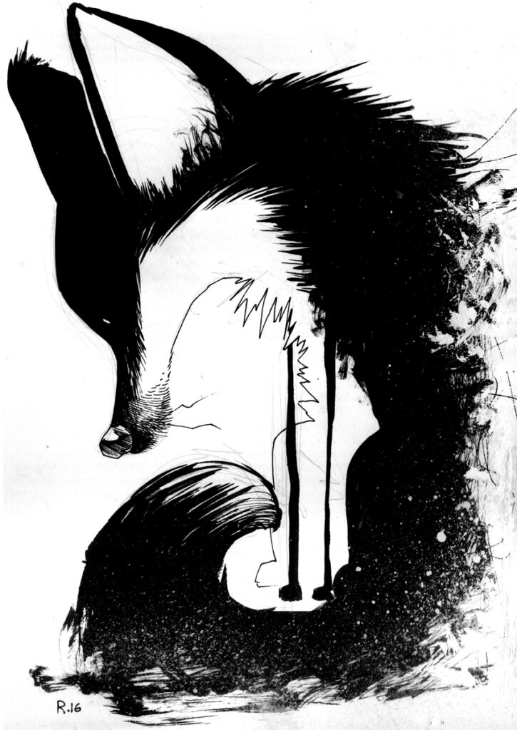serie_el_principito03_le_zorret_03